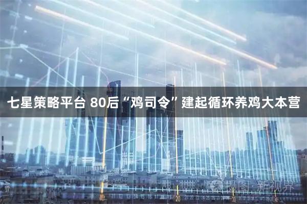 七星策略平台 80后“鸡司令”建起循环养鸡大本营