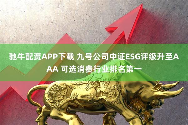 驰牛配资APP下载 九号公司中证ESG评级升至AAA 可选消费行业排名第一