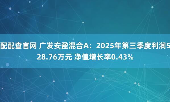 配配查官网 广发安盈混合A：2025年第三季度利润528.76万元 净值增长率0.43%